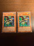 Insect Queen CT1-EN005 (Near-Mint)